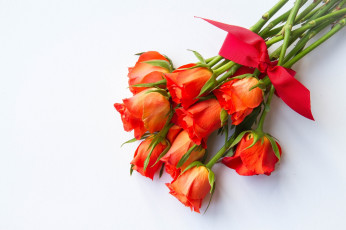 Картинка цветы розы букет бант красный