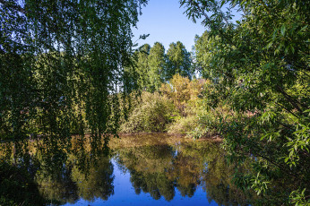 Картинка природа реки озера лес река