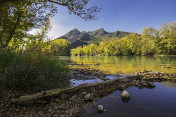 Картинка природа реки озера лес река