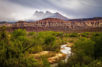 Картинка природа реки озера река лес