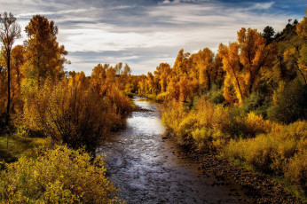 Картинка природа реки озера река лес