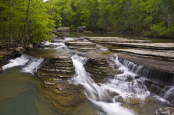Картинка природа реки озера река лес
