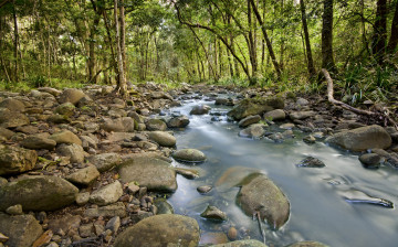 Картинка природа реки озера река лес