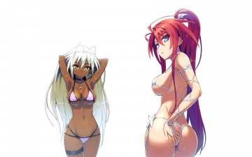 Картинка аниме full+metal+daemon +muramasa девушки