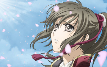 Картинка аниме hakuoki синсэнгуми демоны сакуры взгляд глаза лепестки девушка yukimura chizuru