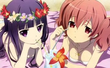 Картинка inu+x+boku+ss аниме девушки взгляд фон