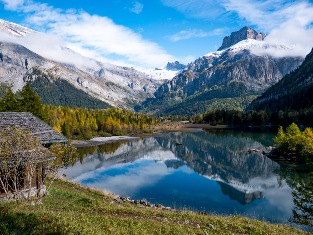 Обои картинки фото природа, реки, озера, лес, река