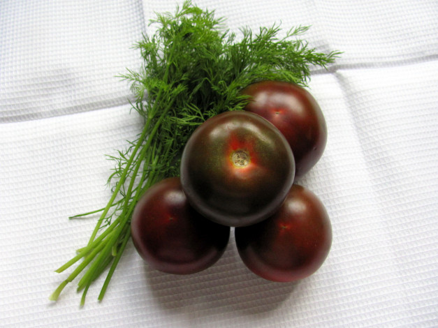 Обои картинки фото еда, овощи, укроп, кумато, помидоры, черные