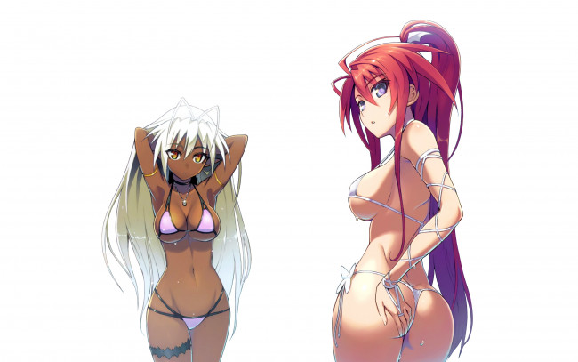 Обои картинки фото аниме, full metal daemon,  muramasa, девушки