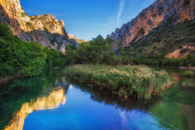 Обои картинки фото природа, реки, озера, лес, река