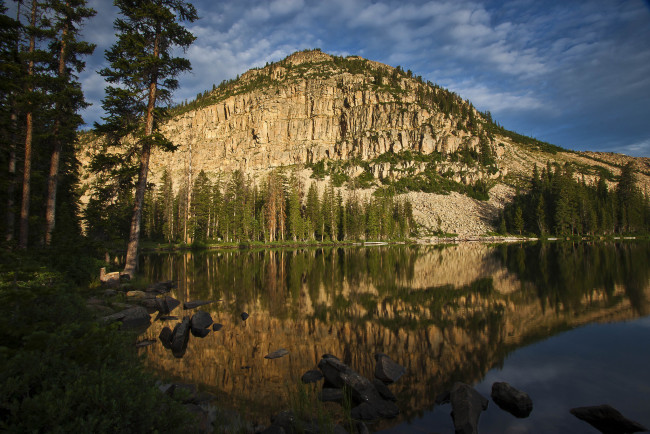 Обои картинки фото природа, реки, озера, река, лес