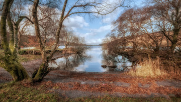 Картинка природа реки озера простор