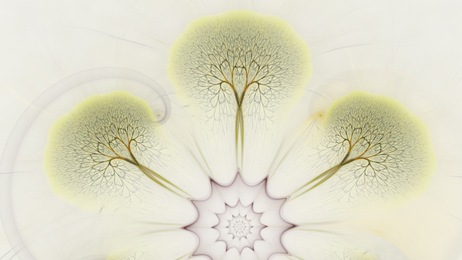 Обои картинки фото 3д графика, абстракция , abstract, фон, узор, цвета