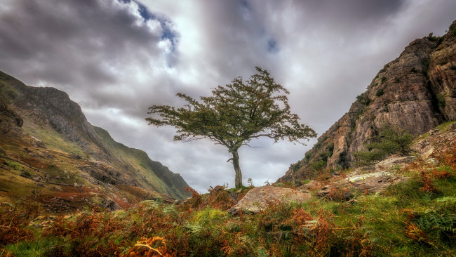 Обои картинки фото природа, горы, простор