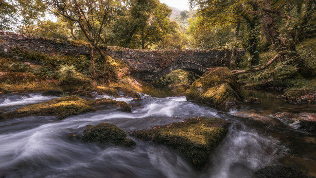 Обои картинки фото природа, реки, озера, река, лес