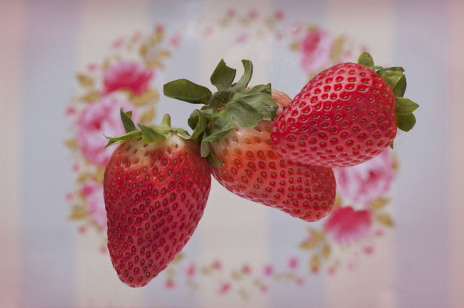 Обои картинки фото еда, клубника,  земляника, ягоды