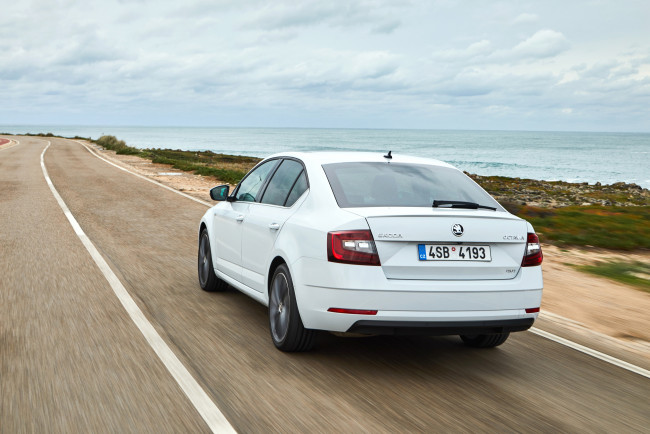 Обои картинки фото автомобили, skoda