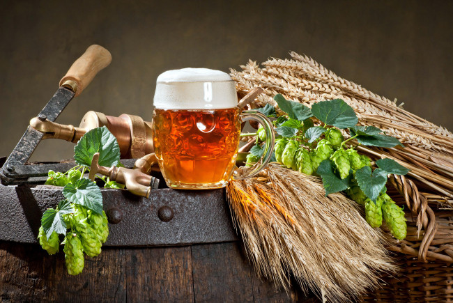 Обои картинки фото еда, напитки,  пиво, бочка, хмель, пена, пиво, бокал