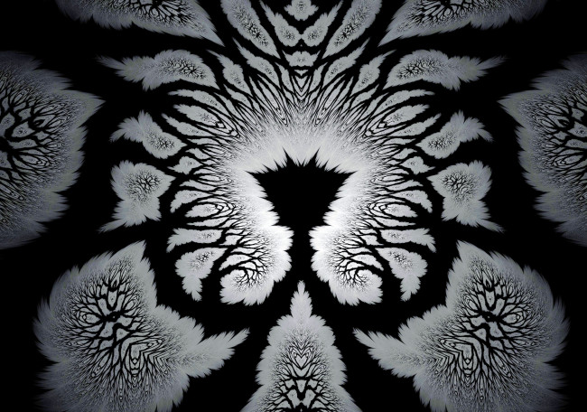 Обои картинки фото 3д графика, фракталы , fractal, цвета, фон, узор