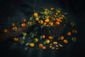 Картинка еда цитрусы снедь