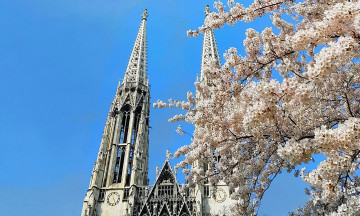 Картинка города вена+ австрия шпиль собор весна