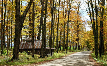 Картинка природа дороги осень дорога будка