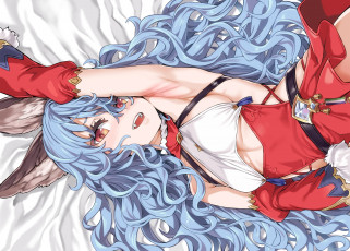 Картинка аниме granblue+fantasy девушка