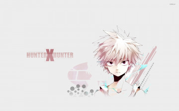 Картинка аниме hunter+x+hunter охотник х