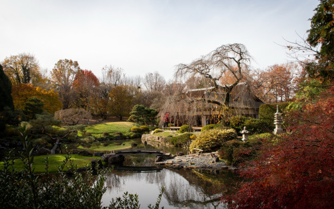 Обои картинки фото города, - здания,  дома, японский, садик
