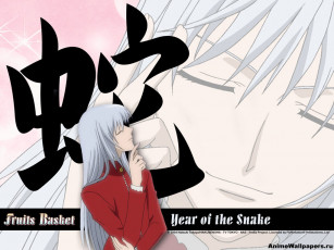 Картинка аниме fruits basket