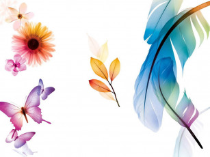 Картинка компьютеры adobe