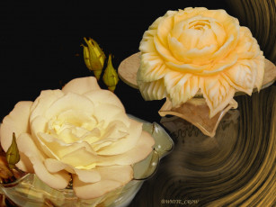 Картинка цветы розы