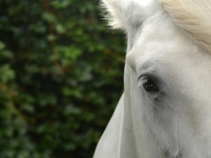 Картинка города исторические архитектурные памятники