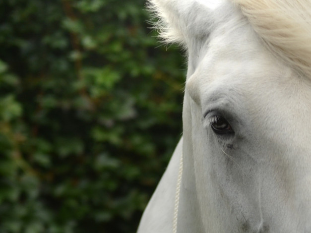 Обои картинки фото города, исторические, архитектурные, памятники