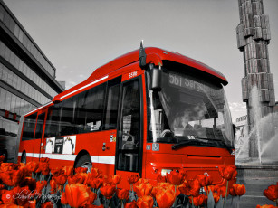 Картинка автомобили автобусы