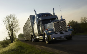 Картинка автомобили western star