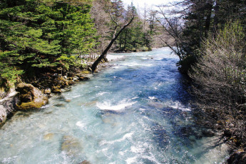 Картинка природа реки озера