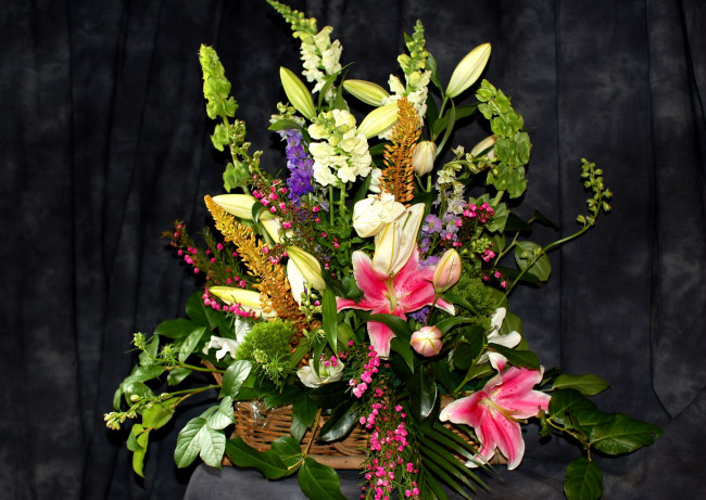 Обои картинки фото цветы, букеты, композиции, лилии, тюльпаны, левкой