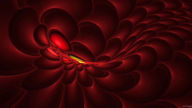 Обои картинки фото 3д, графика, fractal, фракталы, узор, фон, цвета