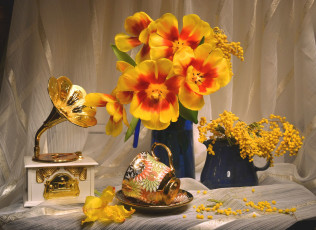 Картинка цветы разные+вместе тюльпаны мимоза