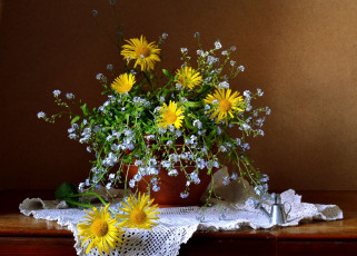 Картинка цветы луговые+ полевые +цветы девясил незабудки