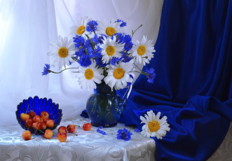 Картинка цветы луговые+ полевые +цветы ромашки черешня васильки