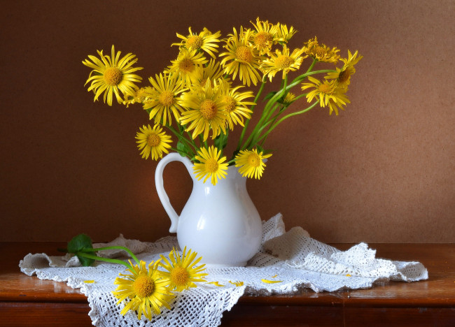 Обои картинки фото цветы, девясил, букет