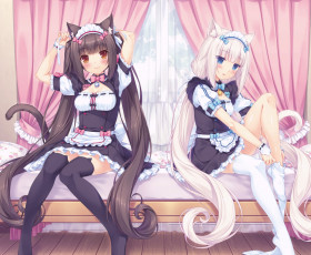 Картинка аниме nekopara девочки