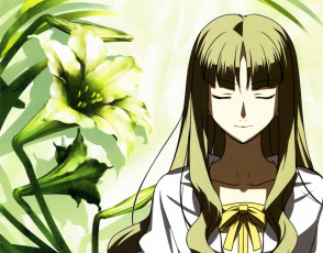 Картинка аниме fate zero лилии девушка