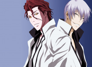 Картинка аниме bleach айзен гин