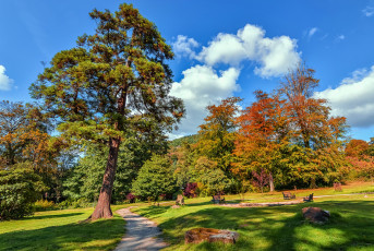 Картинка природа дороги тракт