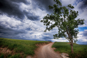 Картинка природа дороги тракт