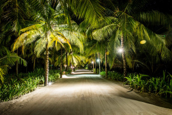 Картинка природа дороги тракт