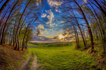 Картинка природа дороги тракт